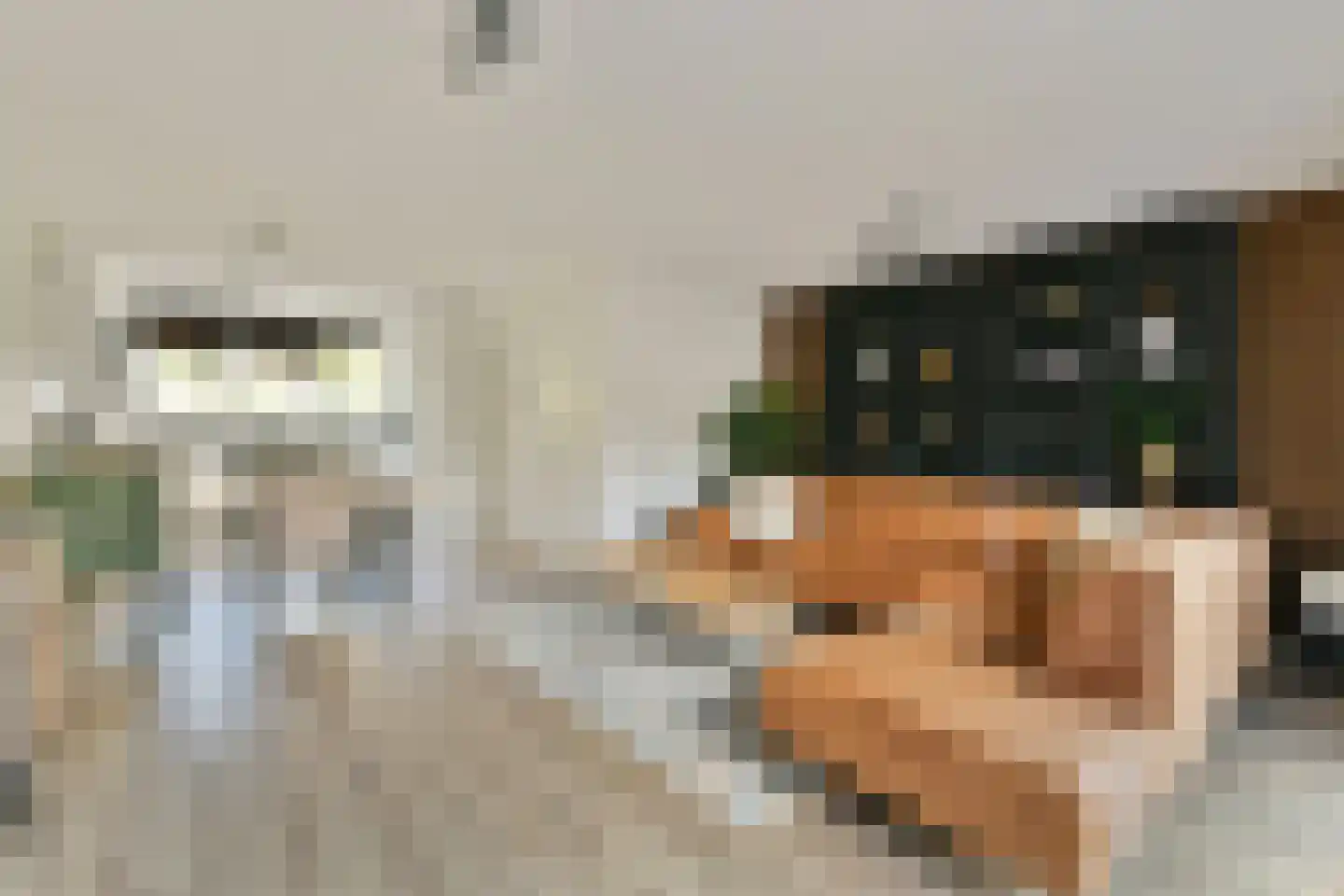 Trintel 121 Monnickendam thumbnail 4