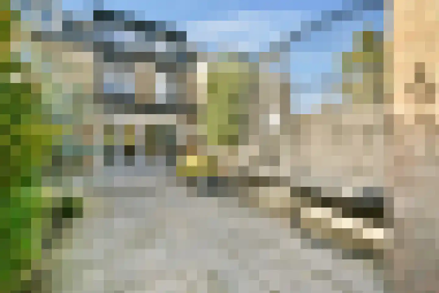 Trintel 121 Monnickendam thumbnail 9