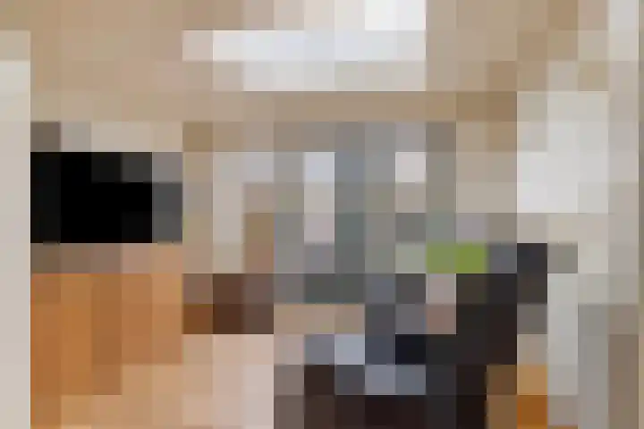Trintel 89 Monnickendam thumbnail 12
