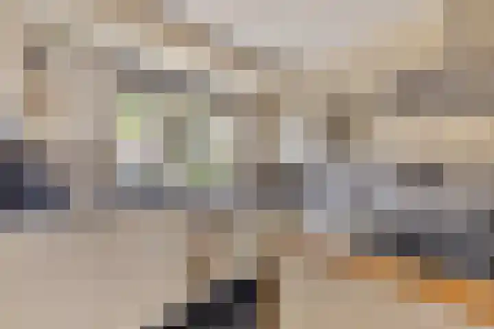 Trintel 89 Monnickendam thumbnail 17