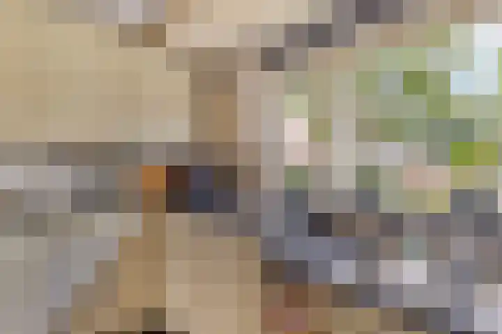 Trintel 89 Monnickendam thumbnail 18