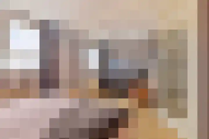 Trintel 89 Monnickendam thumbnail 21