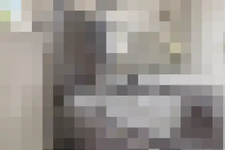 Trintel 89 Monnickendam thumbnail 23
