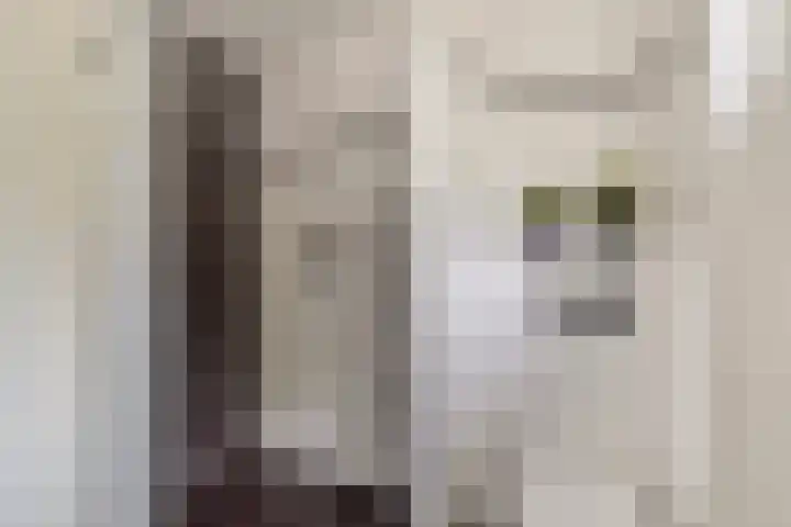 Trintel 89 Monnickendam thumbnail 24