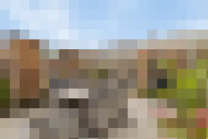 Trintel 89 Monnickendam thumbnail 29