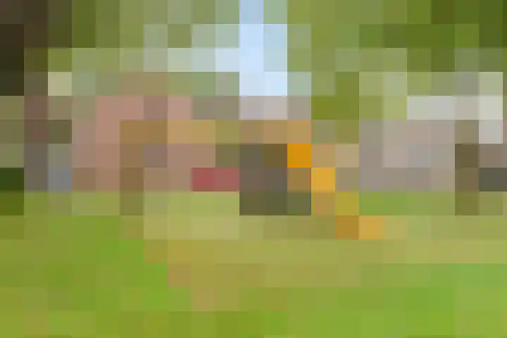 Trintel 89 Monnickendam thumbnail 33