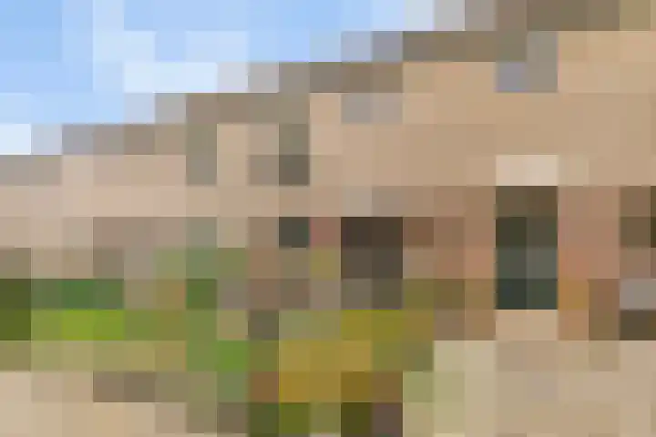 Trintel 89 Monnickendam thumbnail 6