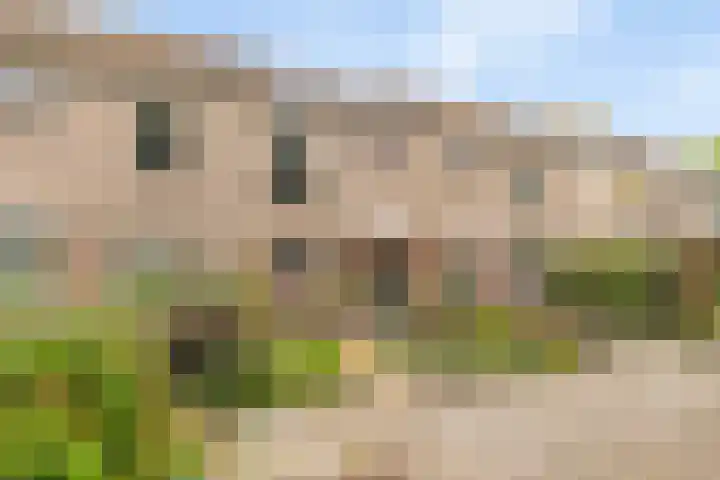 Trintel 89 Monnickendam thumbnail 7