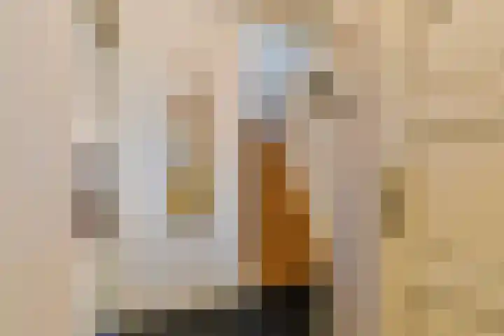 Trintel 89 Monnickendam thumbnail 8