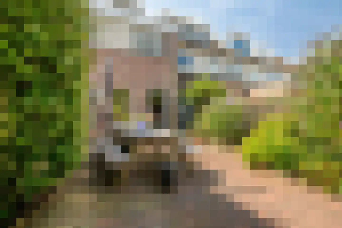 Trintel 93 Monnickendam thumbnail 31