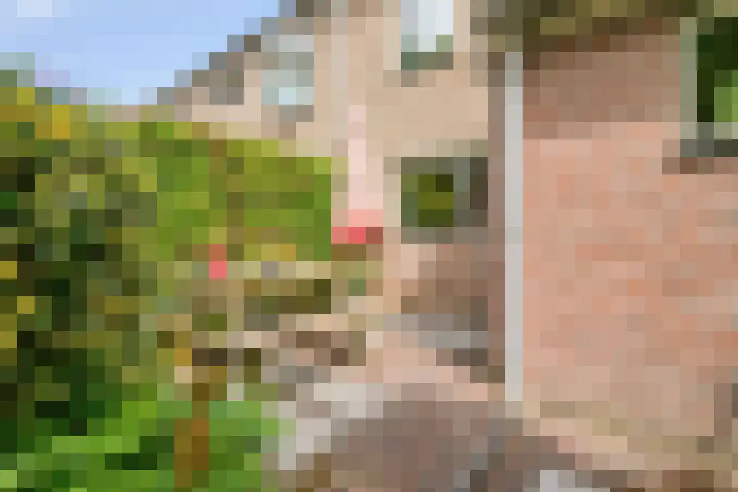 Trintel 93 Monnickendam thumbnail 6