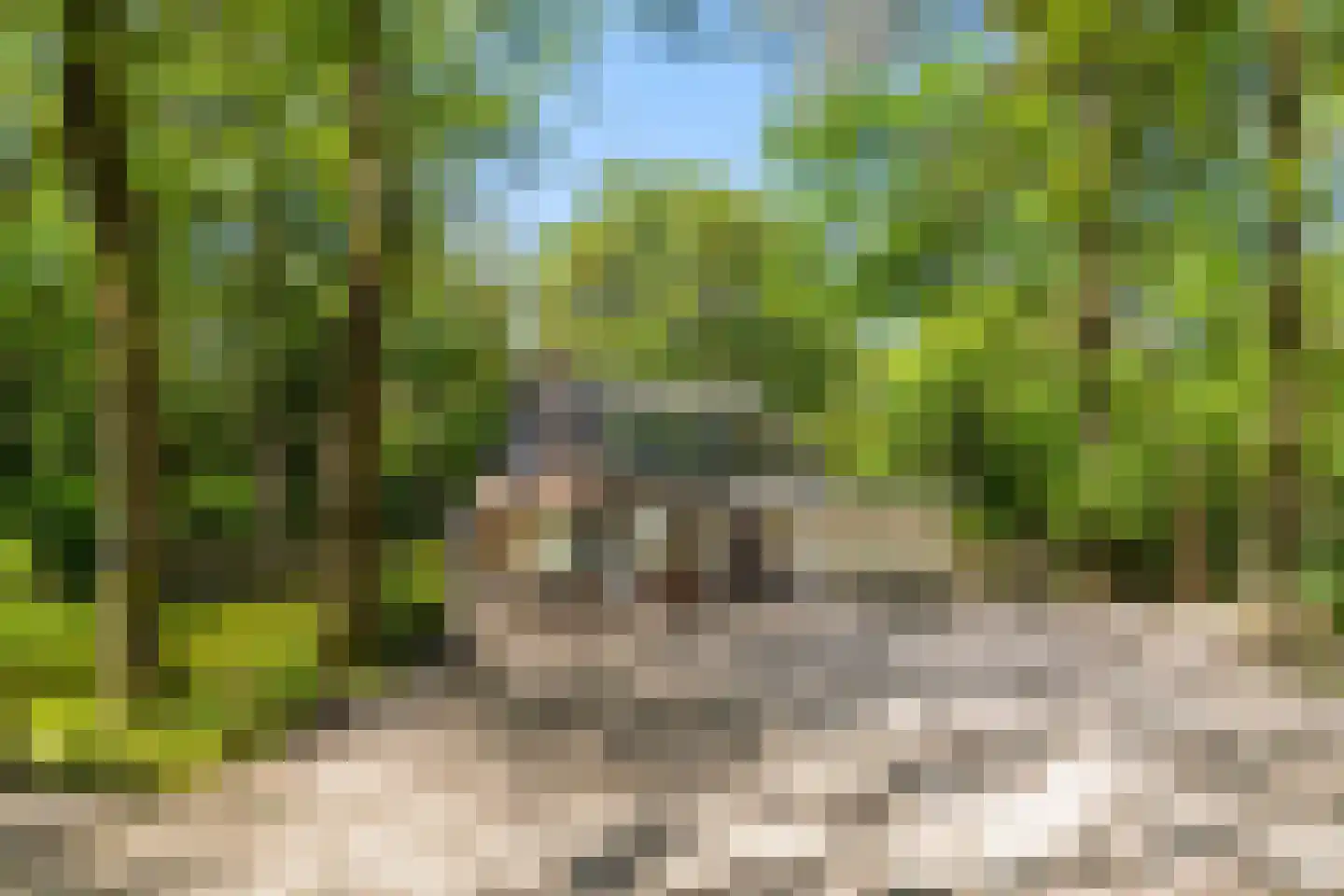 Triolaan 7 Norg