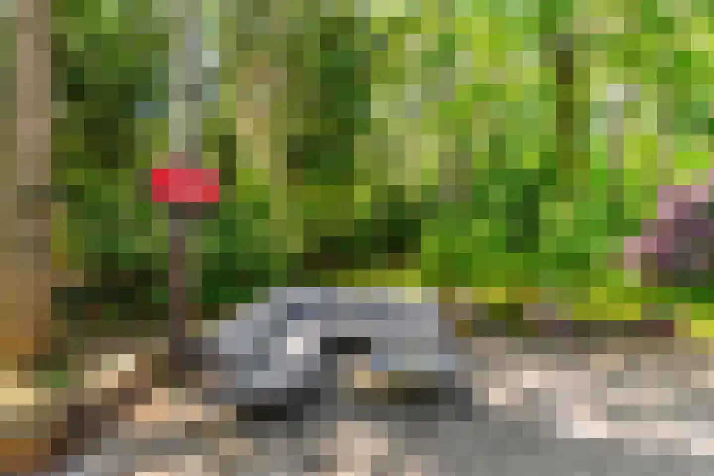 Triolaan 7 Norg thumbnail 10