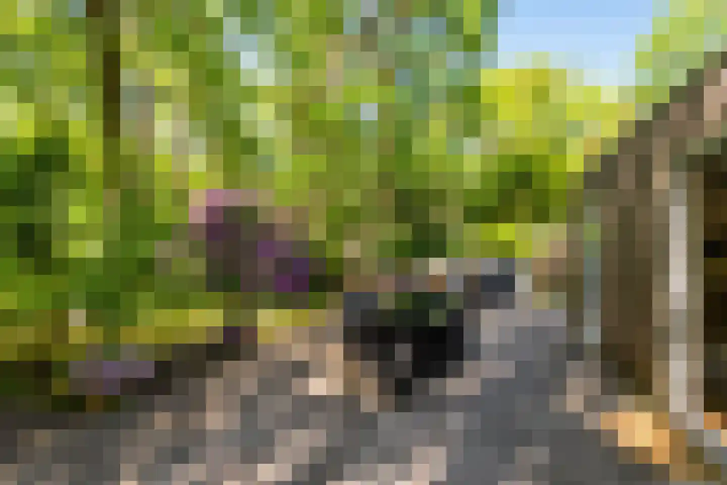 Triolaan 7 Norg thumbnail 11