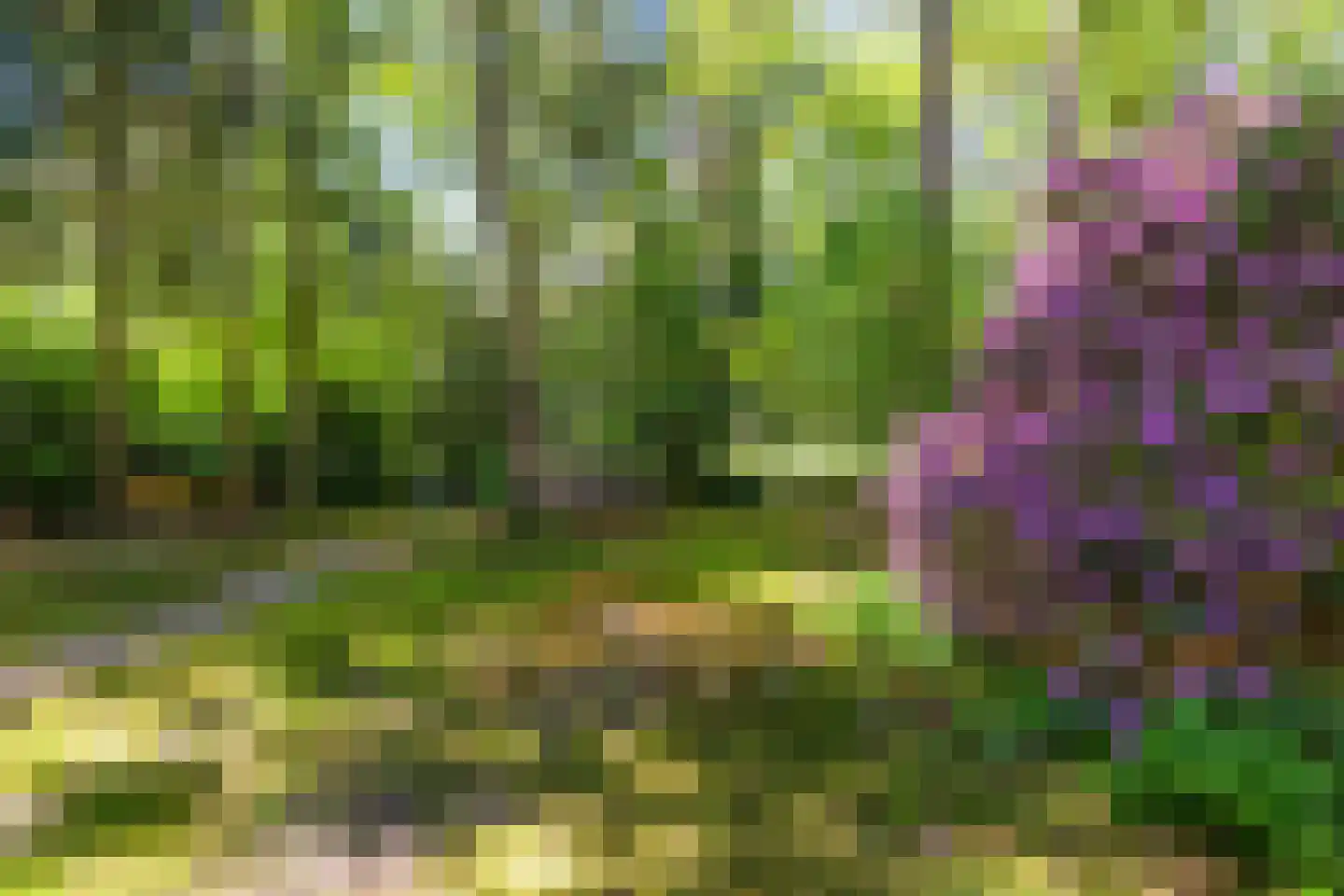 Triolaan 7 Norg thumbnail 12
