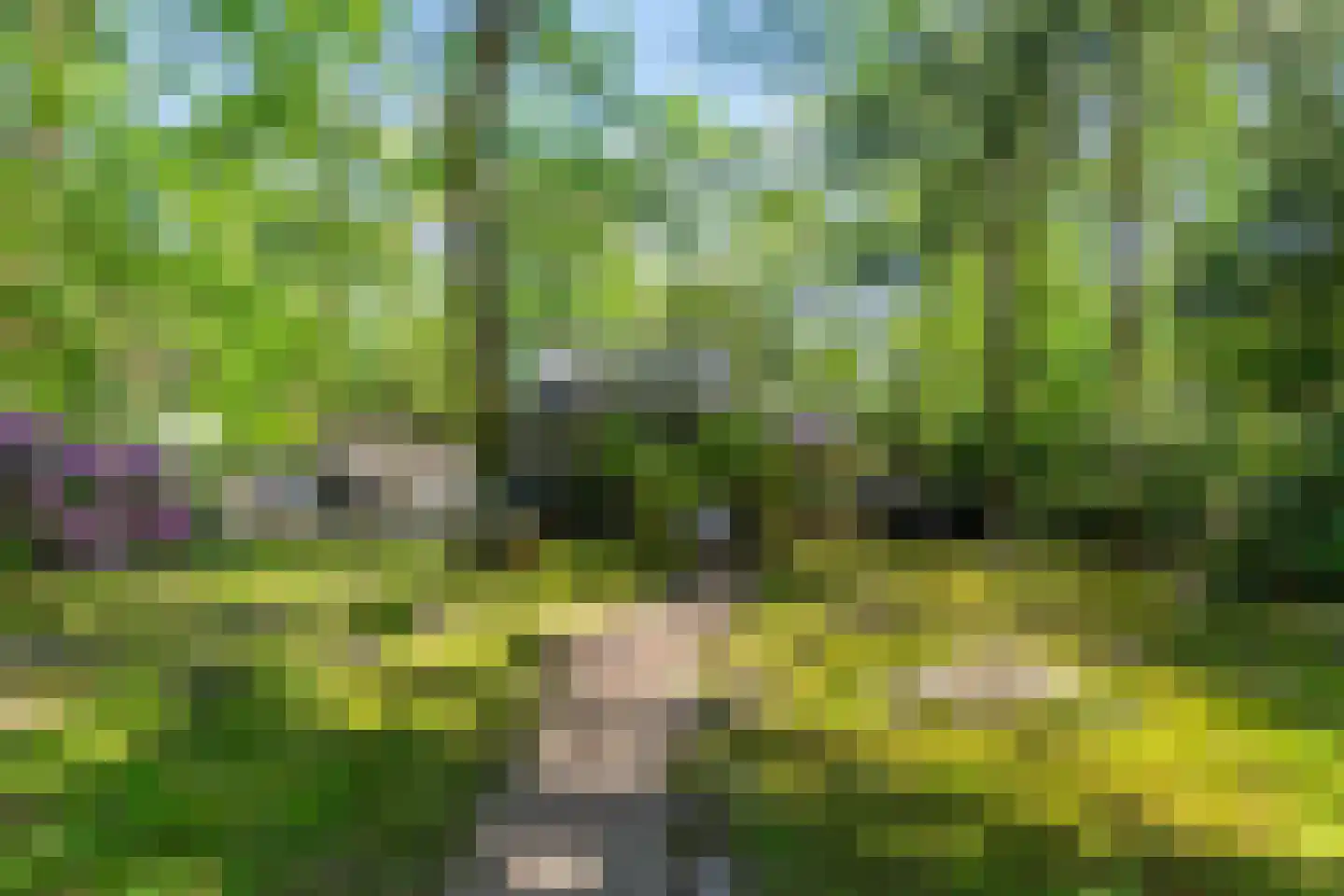 Triolaan 7 Norg thumbnail 13