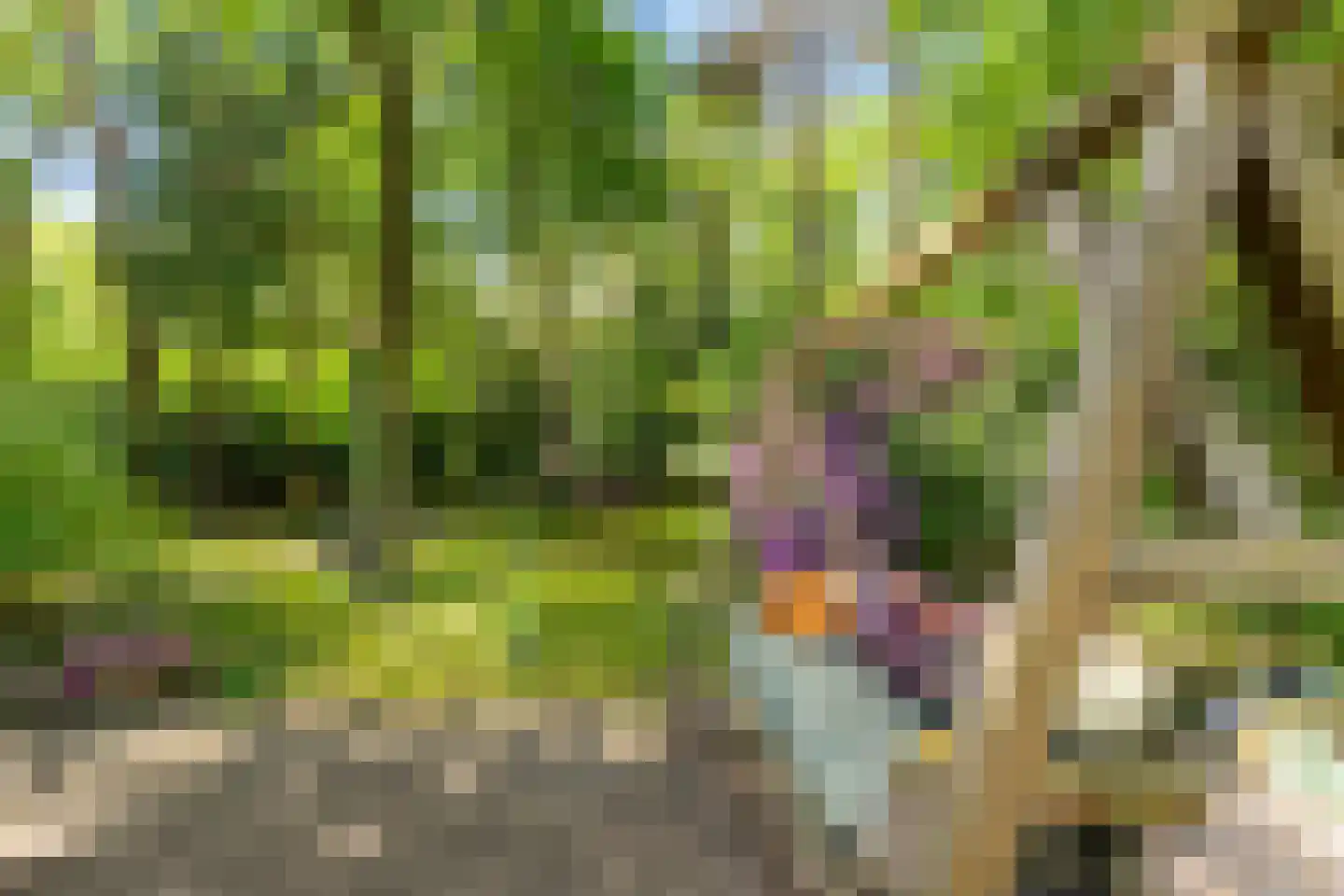 Triolaan 7 Norg thumbnail 14