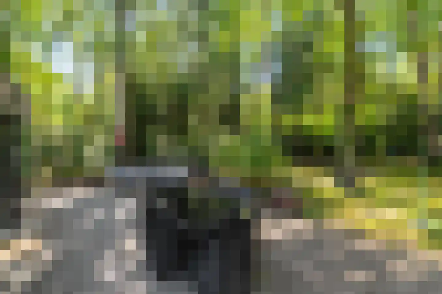 Triolaan 7 Norg thumbnail 15