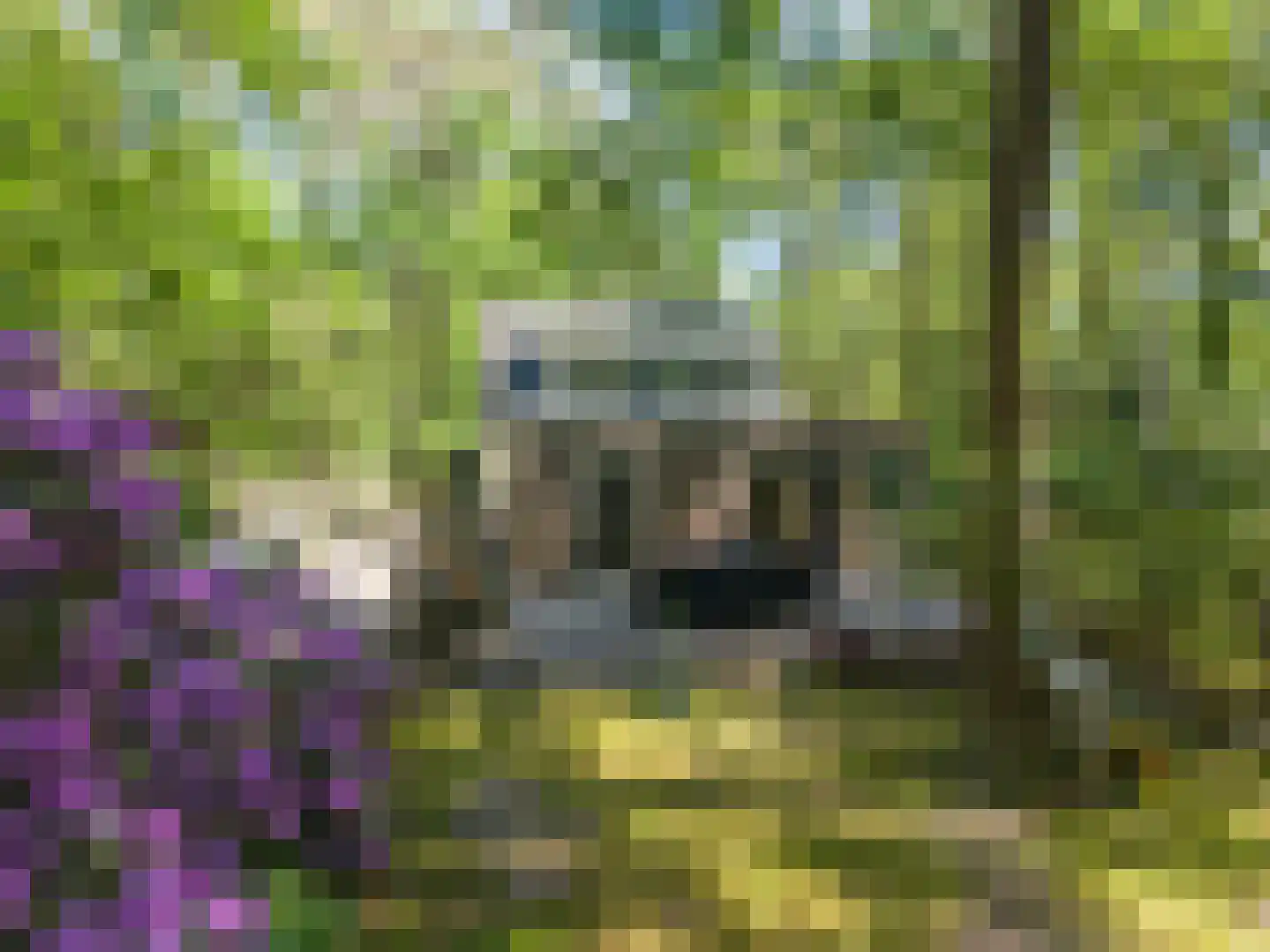 Triolaan 7 Norg foto 2