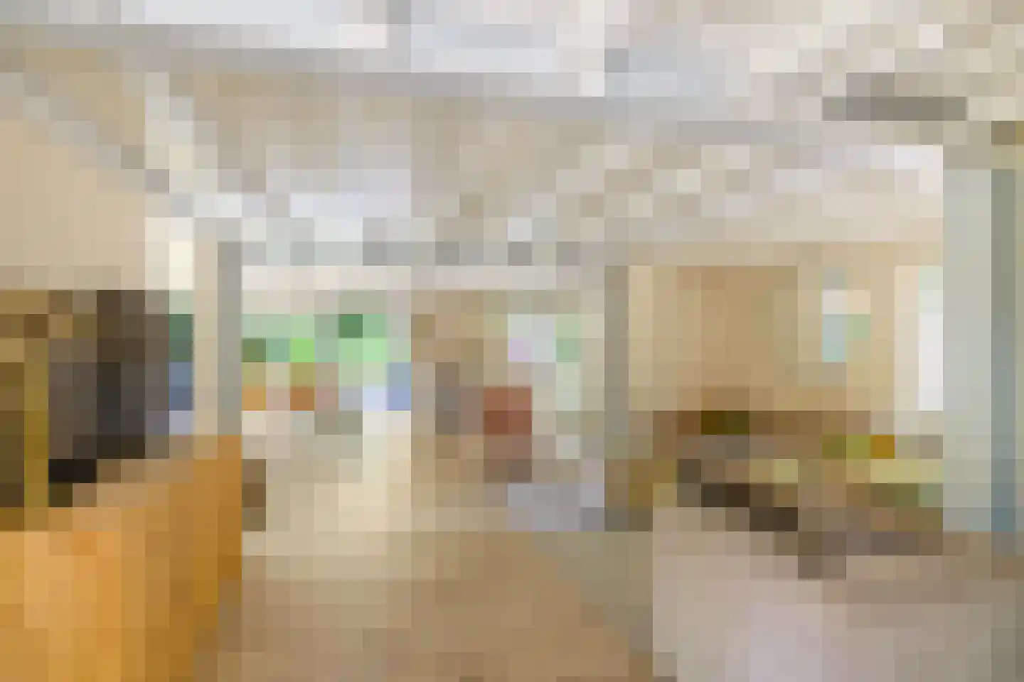 Triolaan 7 Norg thumbnail 21