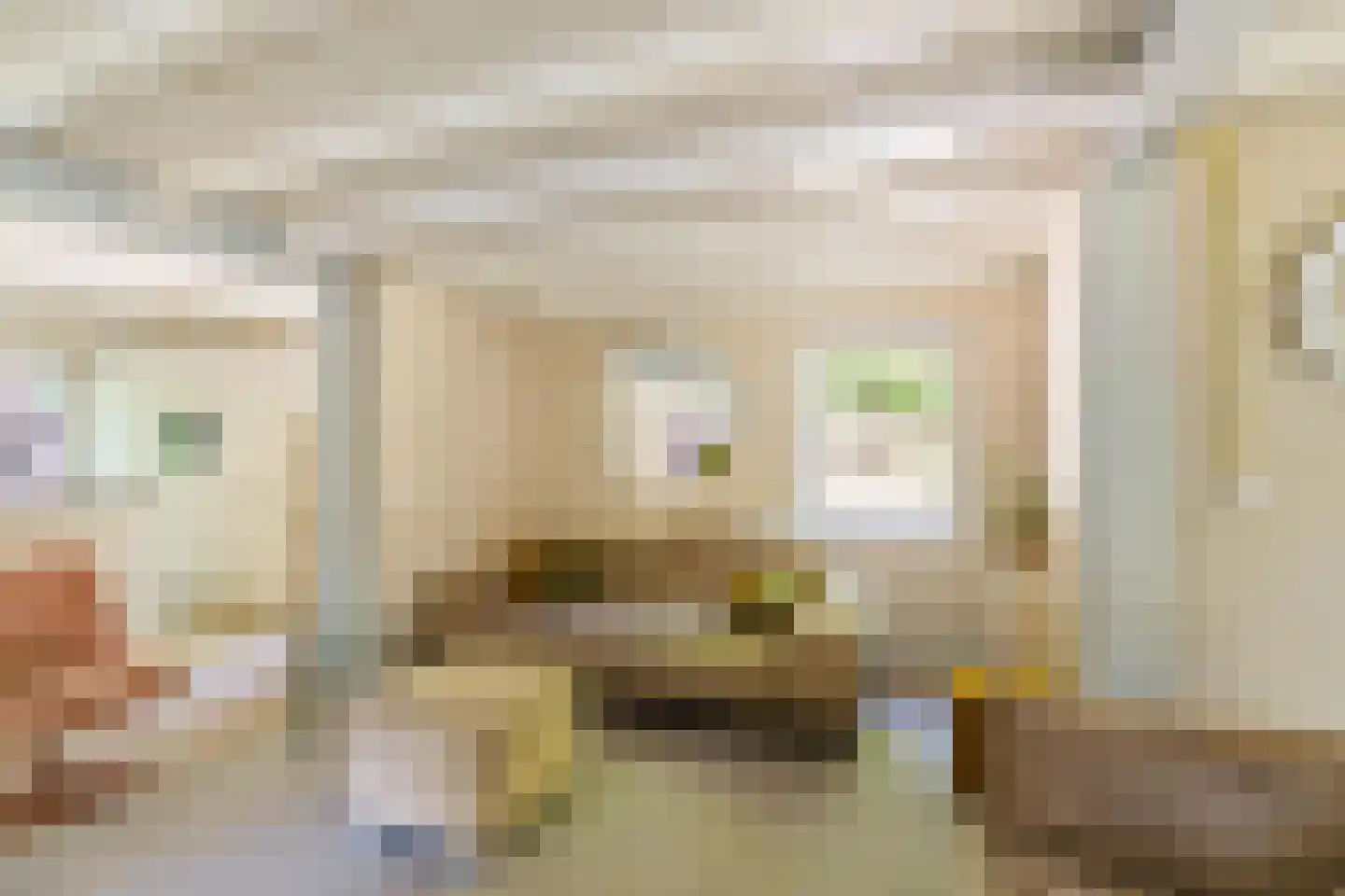 Triolaan 7 Norg thumbnail 22