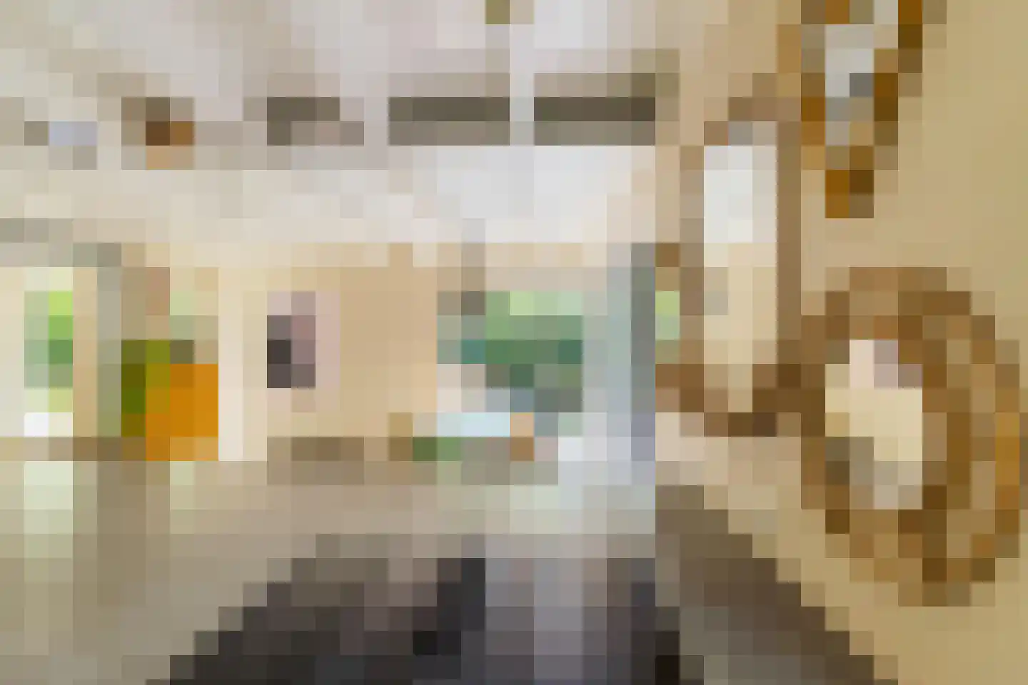 Triolaan 7 Norg thumbnail 24