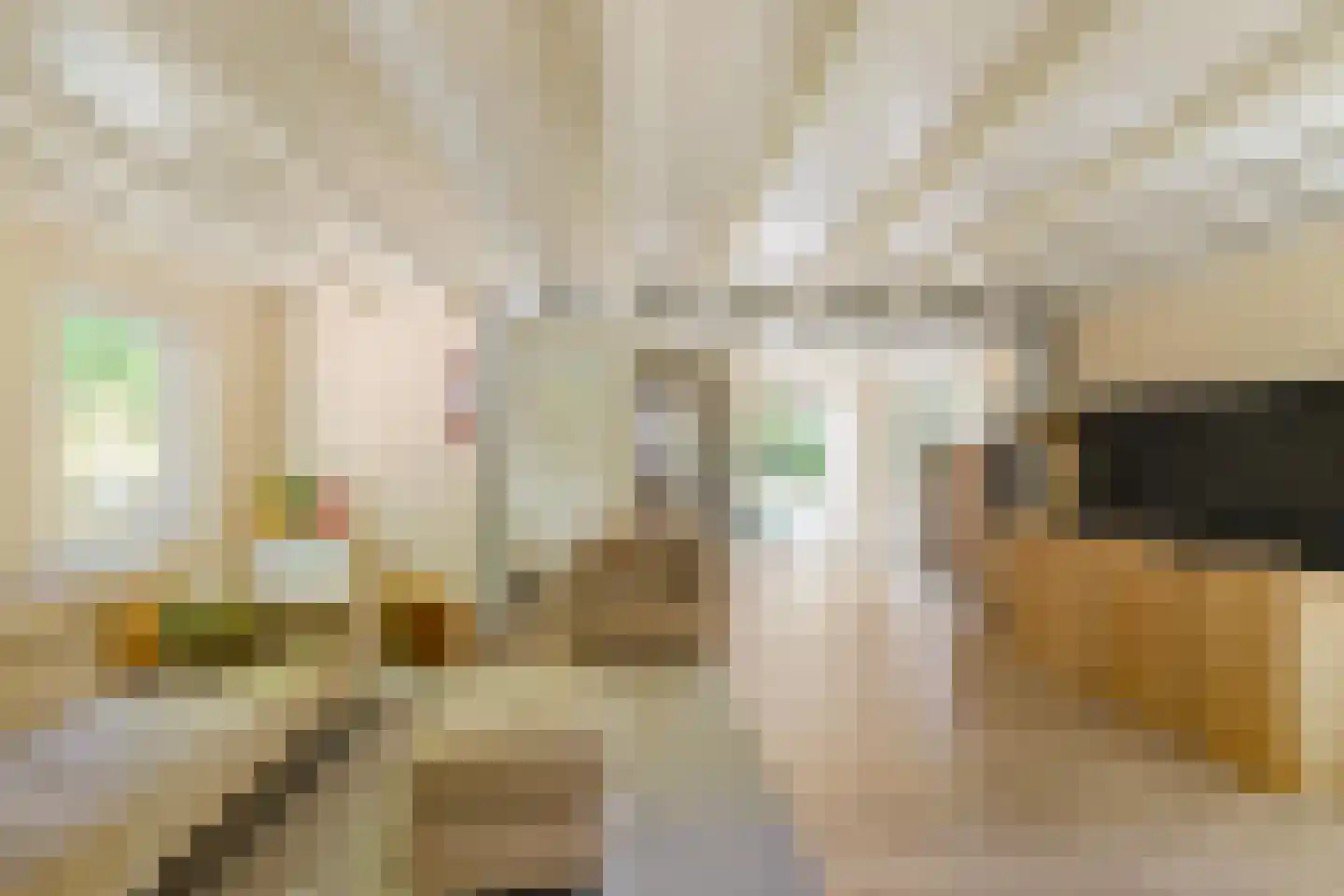 Triolaan 7 Norg thumbnail 25