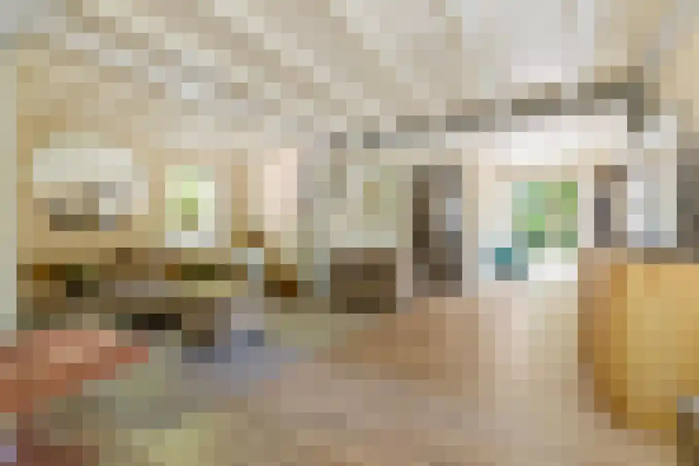 Triolaan 7 Norg foto 3
