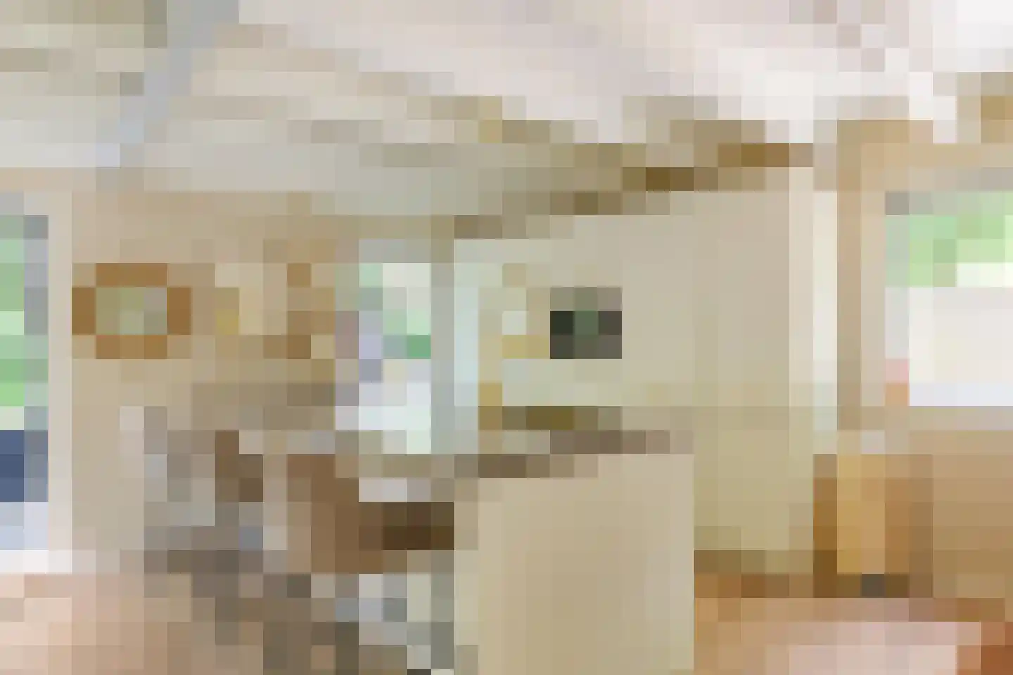 Triolaan 7 Norg thumbnail 32