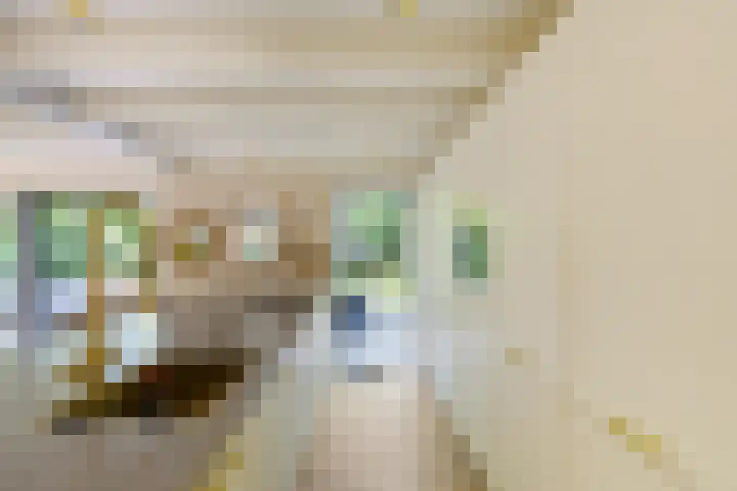 Triolaan 7 Norg thumbnail 33