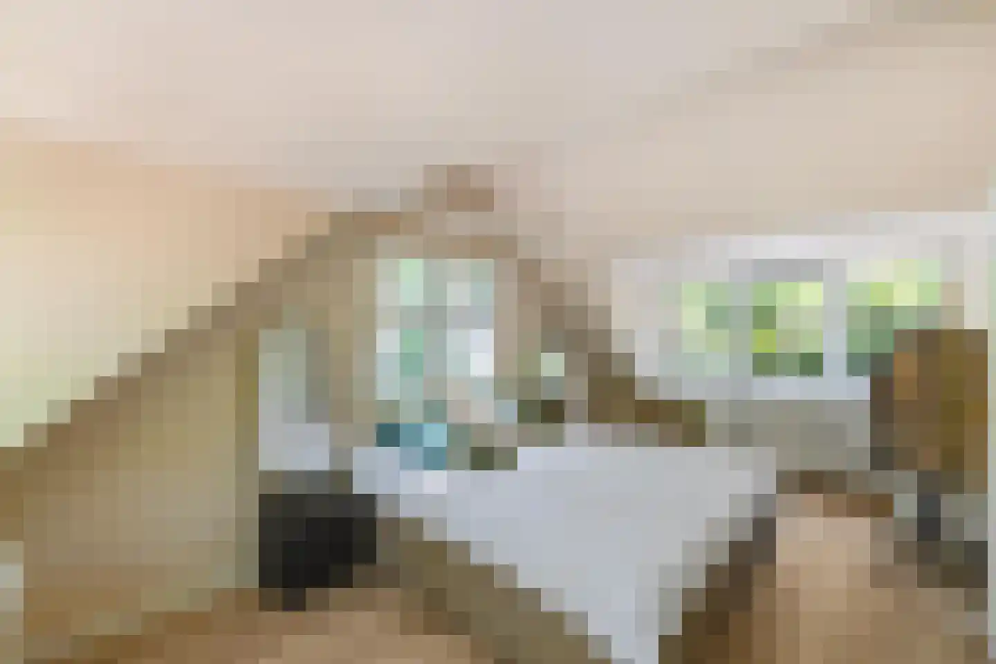Triolaan 7 Norg thumbnail 45