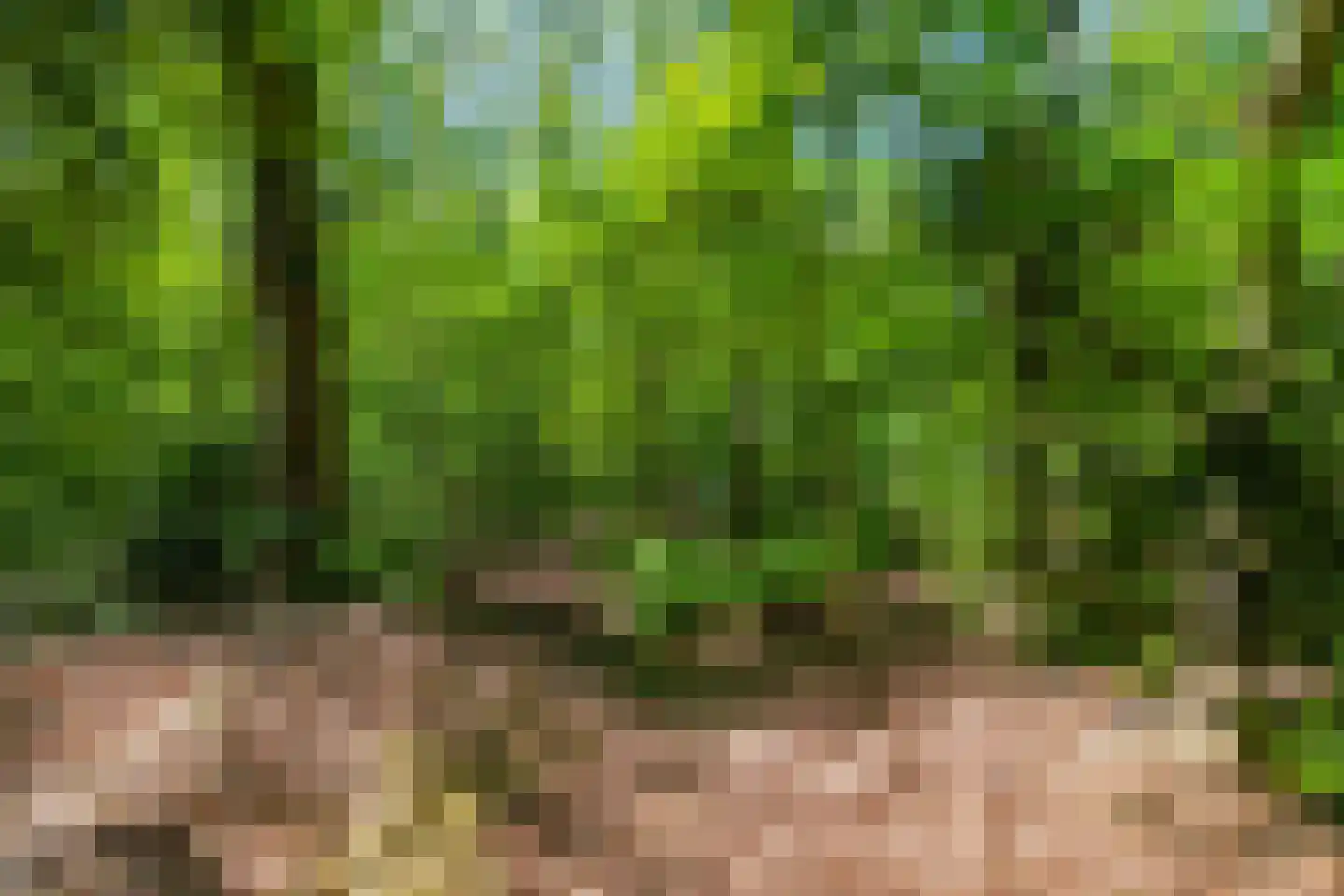 Triolaan 7 Norg thumbnail 46
