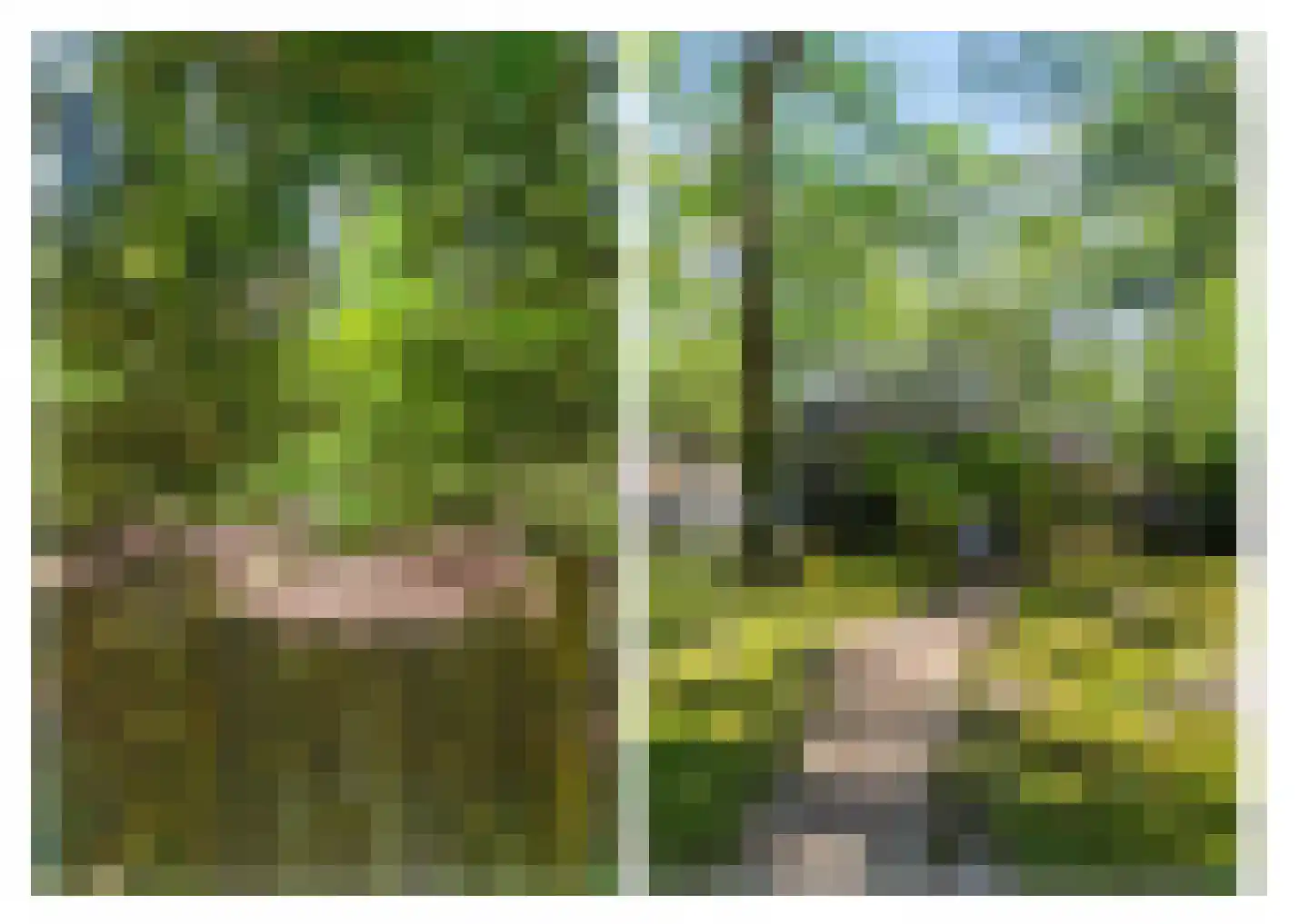 Triolaan 7 Norg thumbnail 47