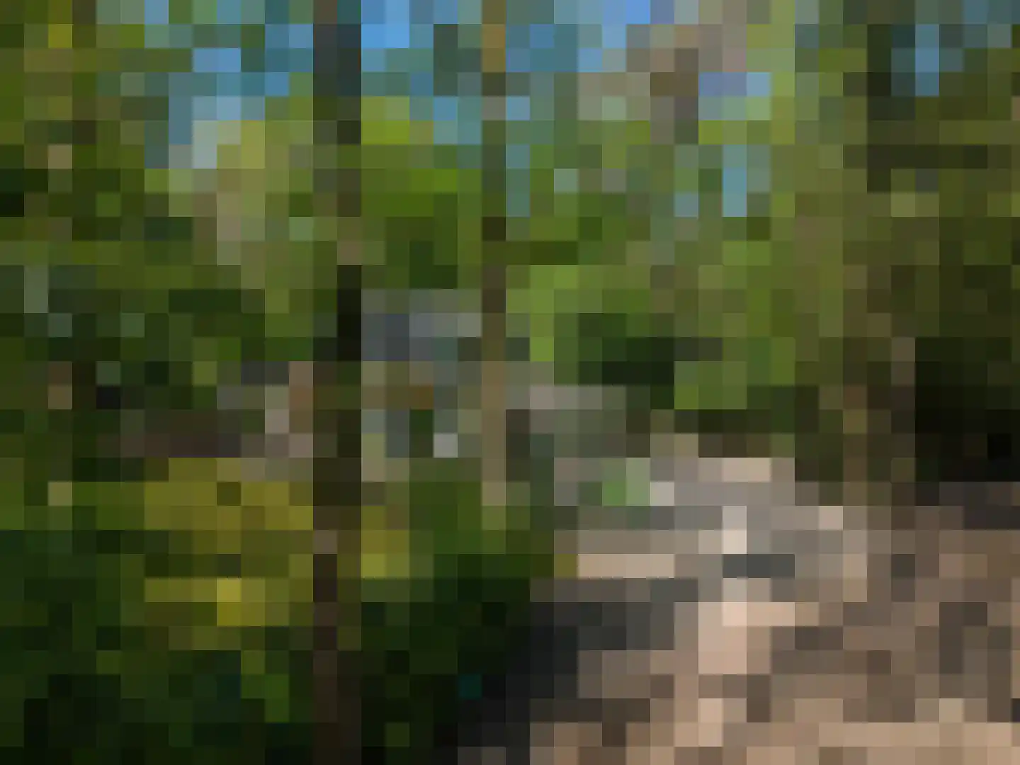 Triolaan 7 Norg thumbnail 48