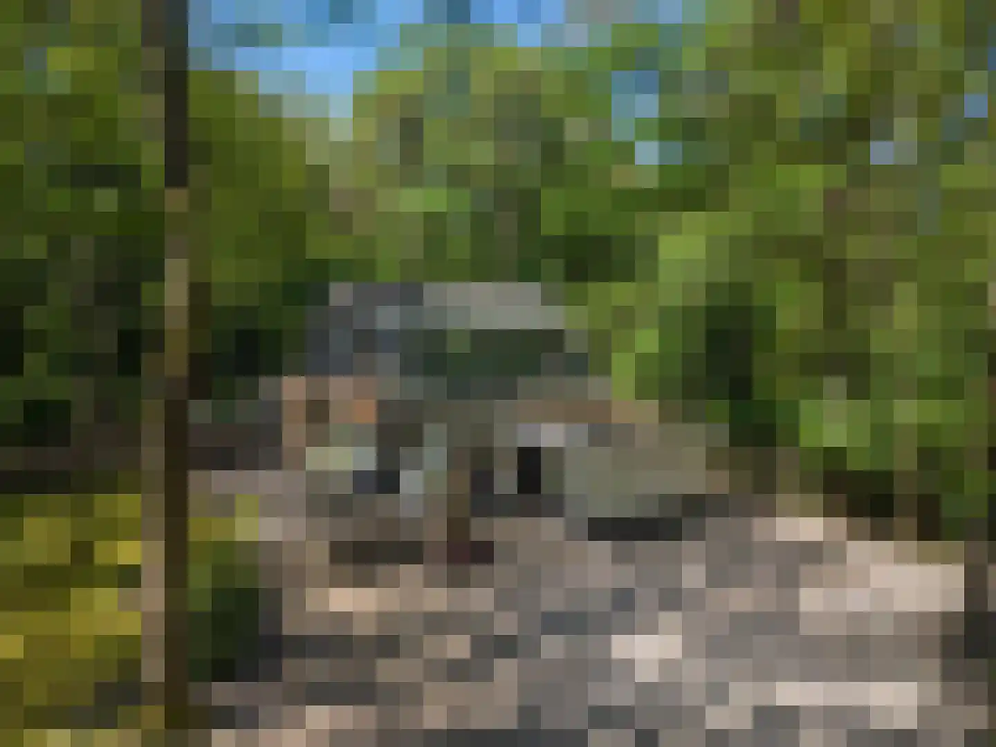 Triolaan 7 Norg thumbnail 49
