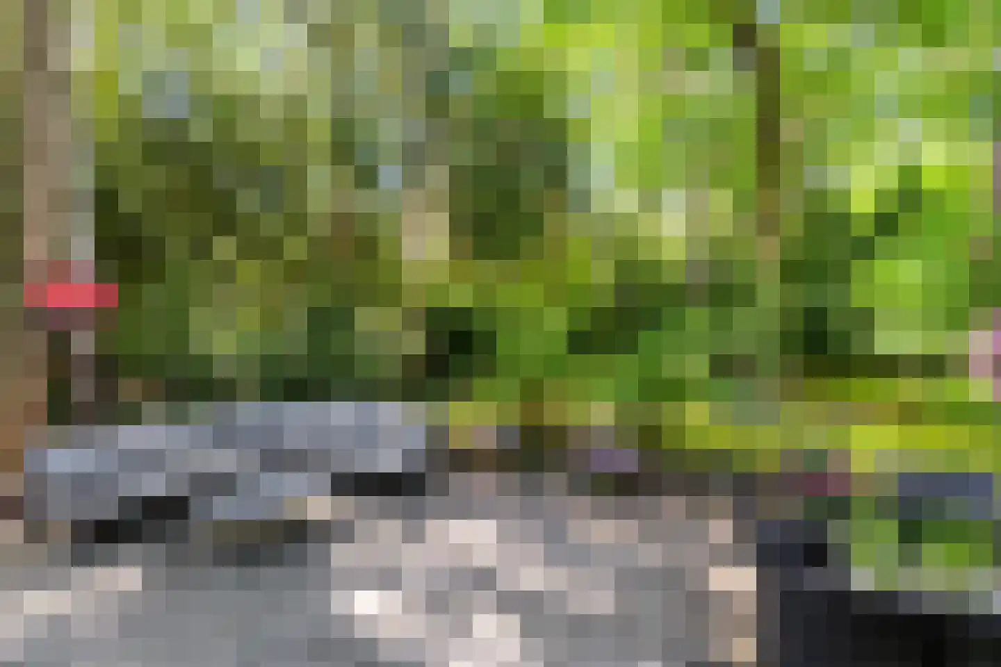 Triolaan 7 Norg thumbnail 5