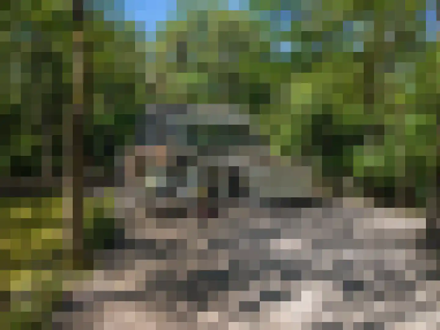 Triolaan 7 Norg thumbnail 50