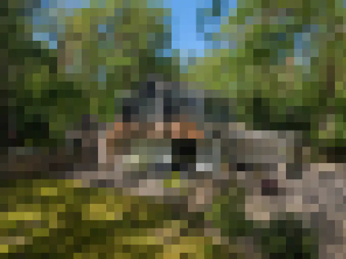 Triolaan 7 Norg thumbnail 51