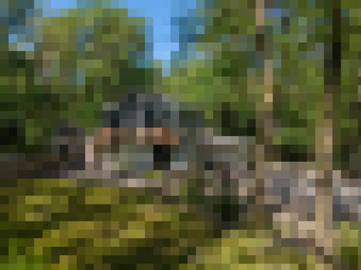 Triolaan 7 Norg thumbnail 52
