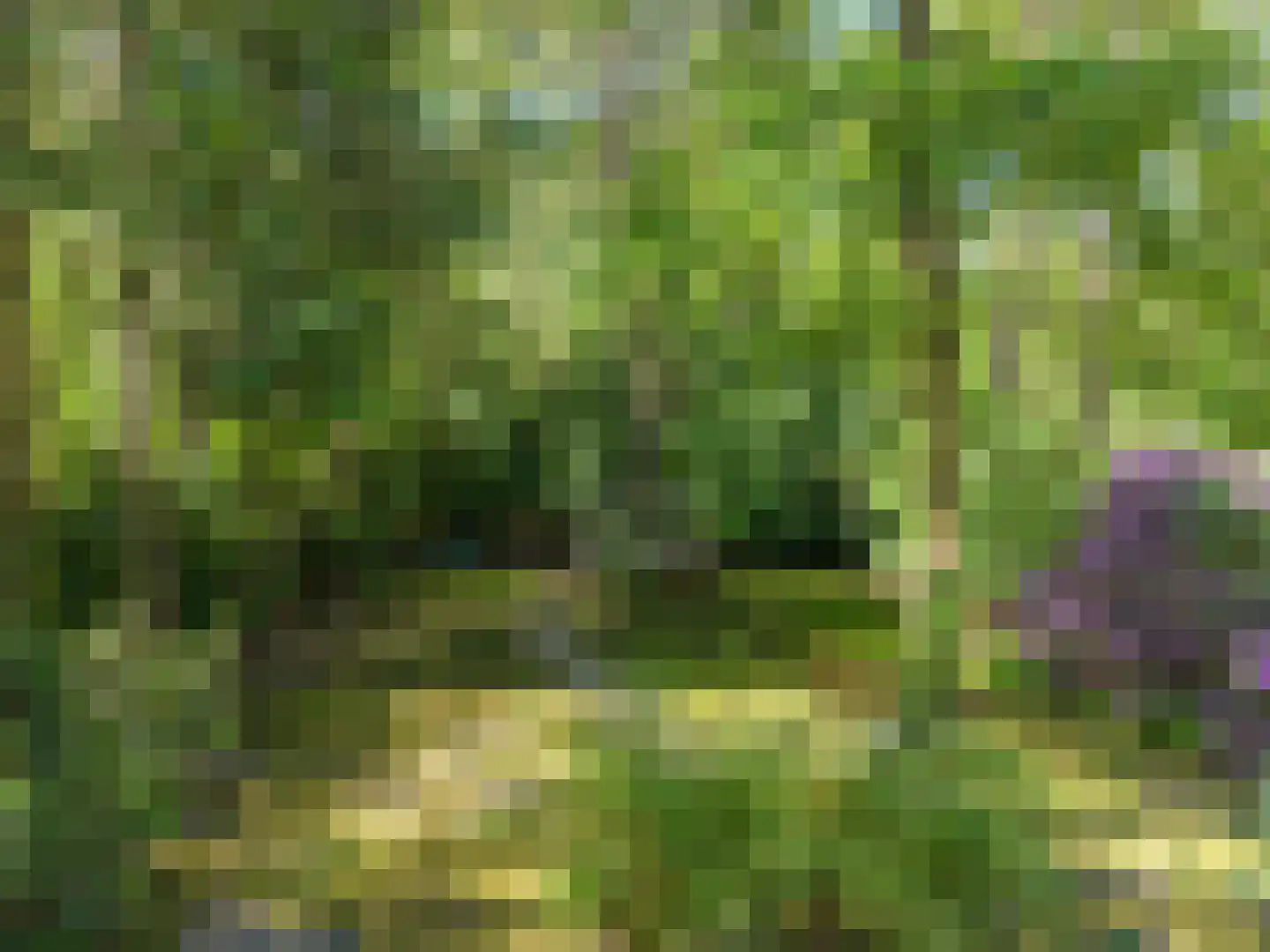 Triolaan 7 Norg thumbnail 53