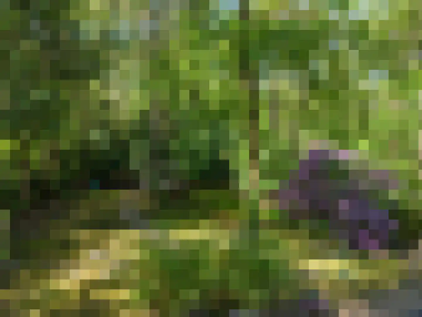 Triolaan 7 Norg thumbnail 54