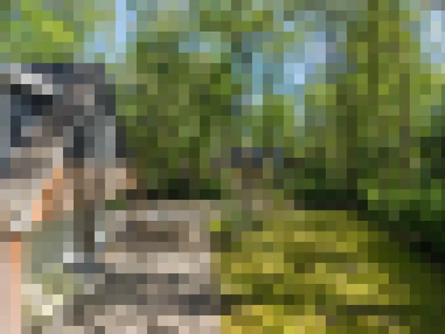 Triolaan 7 Norg thumbnail 56
