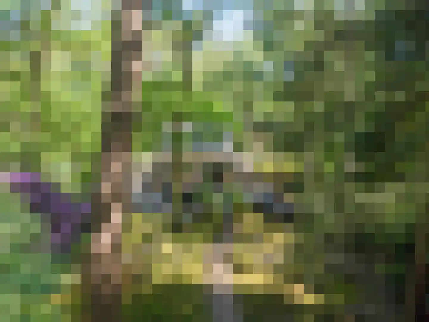 Triolaan 7 Norg thumbnail 57