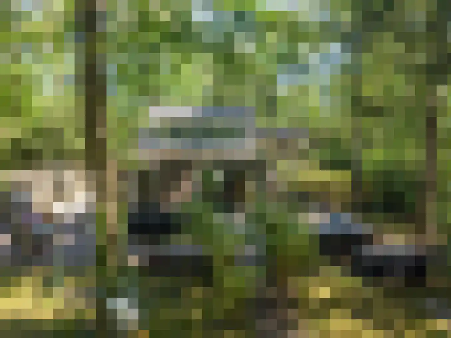 Triolaan 7 Norg thumbnail 58