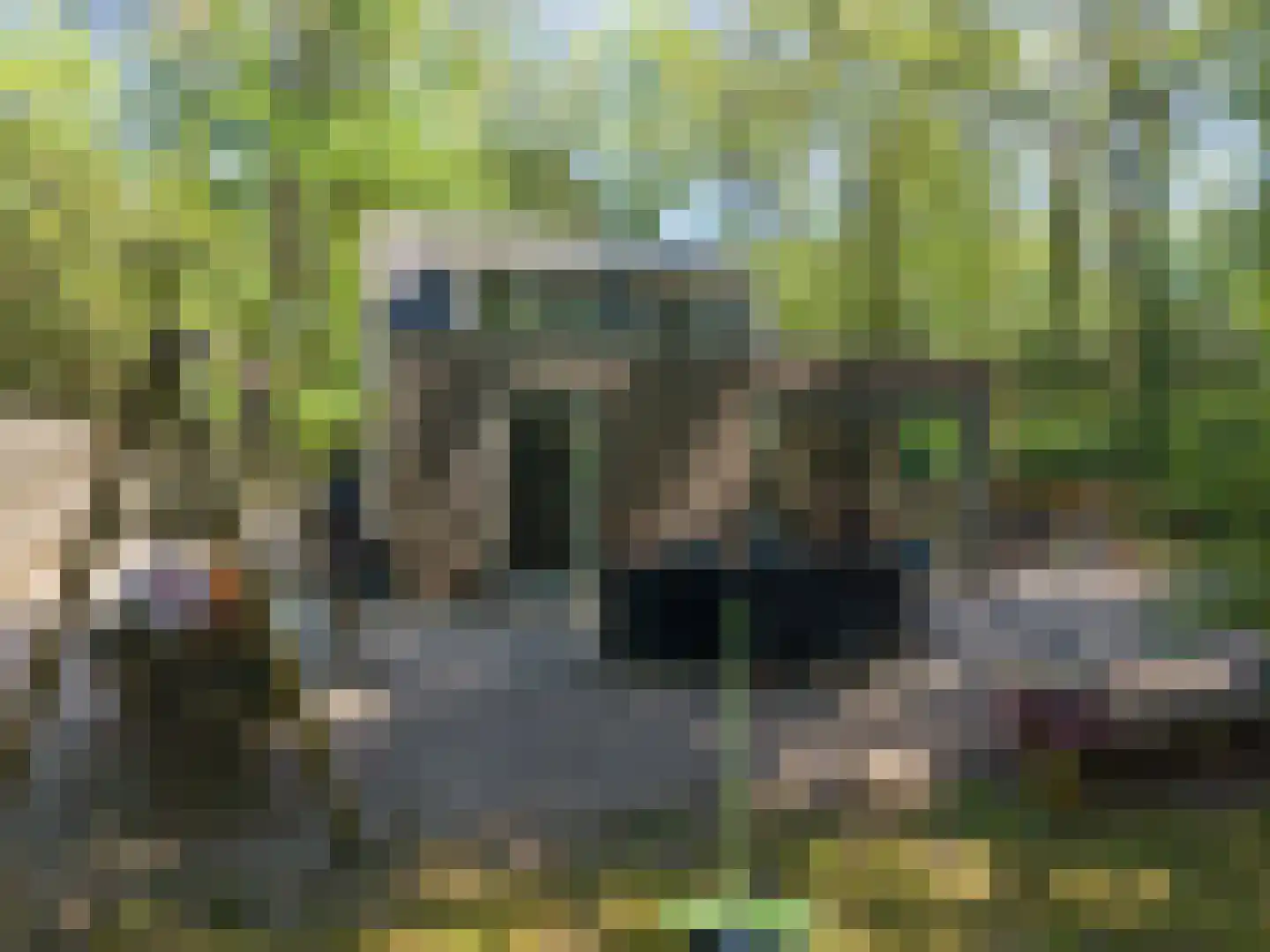 Triolaan 7 Norg thumbnail 59