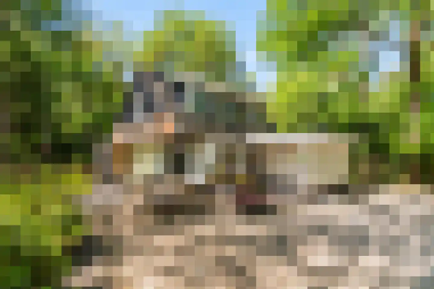 Triolaan 7 Norg thumbnail 6