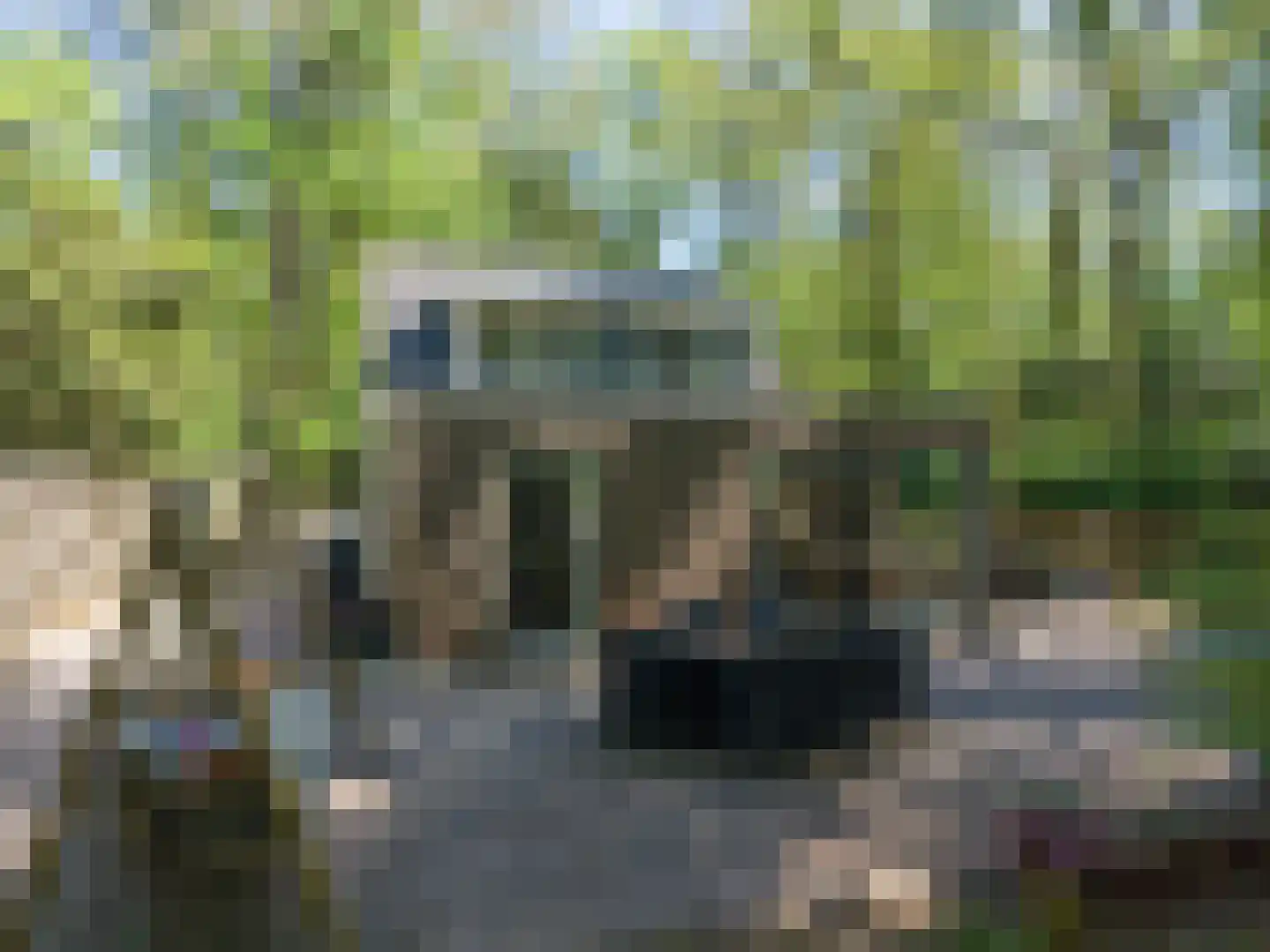 Triolaan 7 Norg thumbnail 60