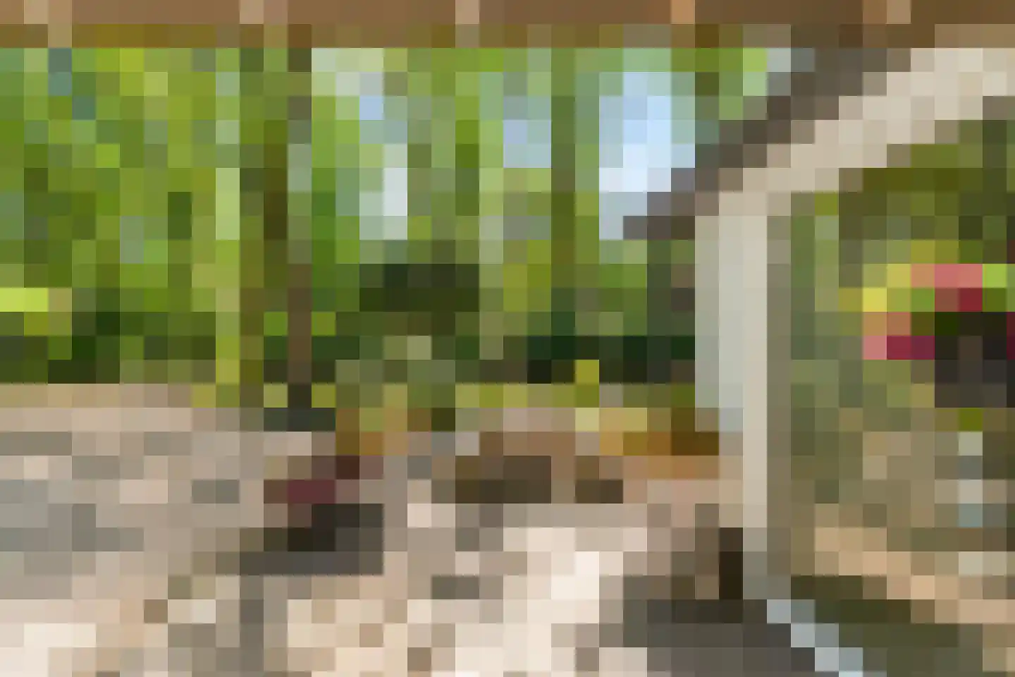 Triolaan 7 Norg thumbnail 7