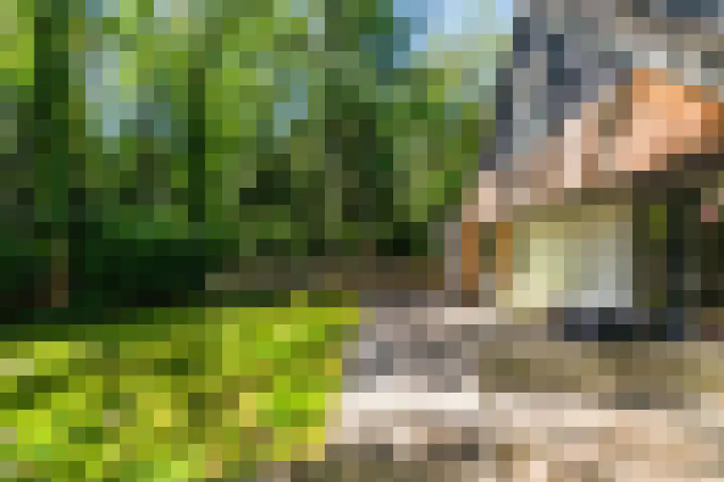 Triolaan 7 Norg thumbnail 8