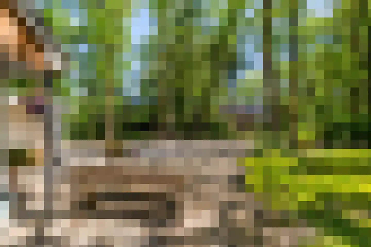 Triolaan 7 Norg thumbnail 9